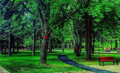 Parku "Rinia" në Korçë